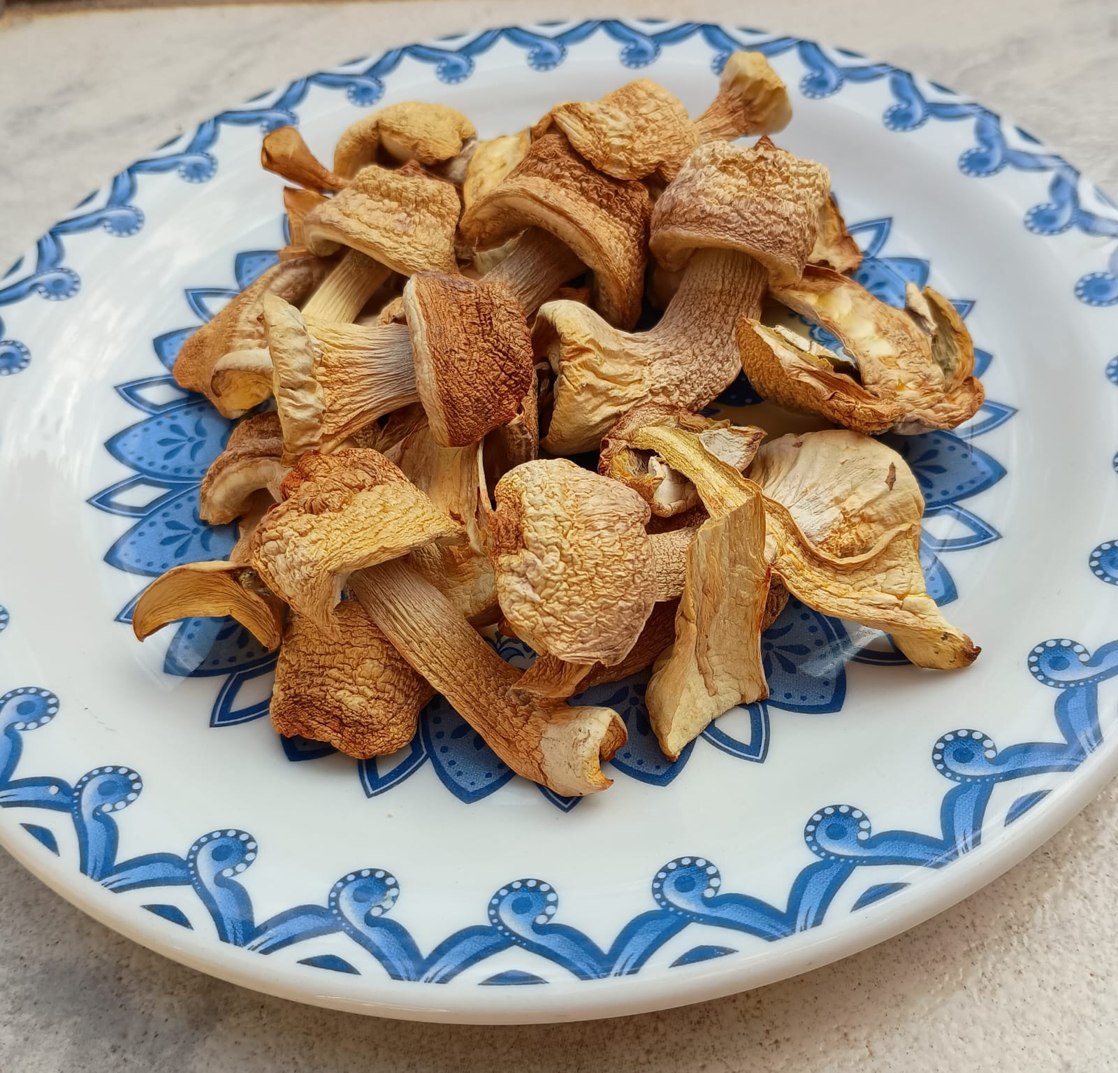 Chips de Cogumelos Agaricus Blazei 25g